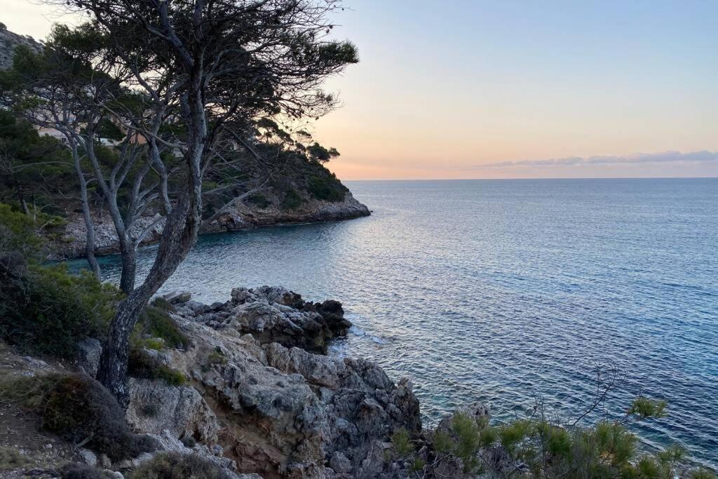Sea View 6d With Pool In Canamel Appartement